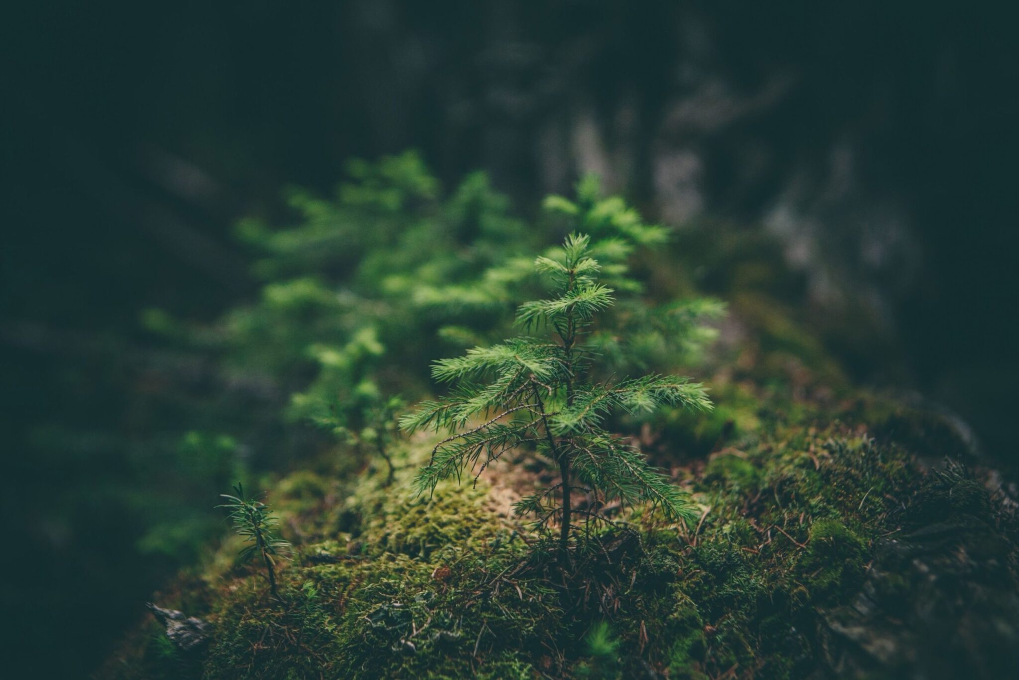 Environment,  Social &  Governance
