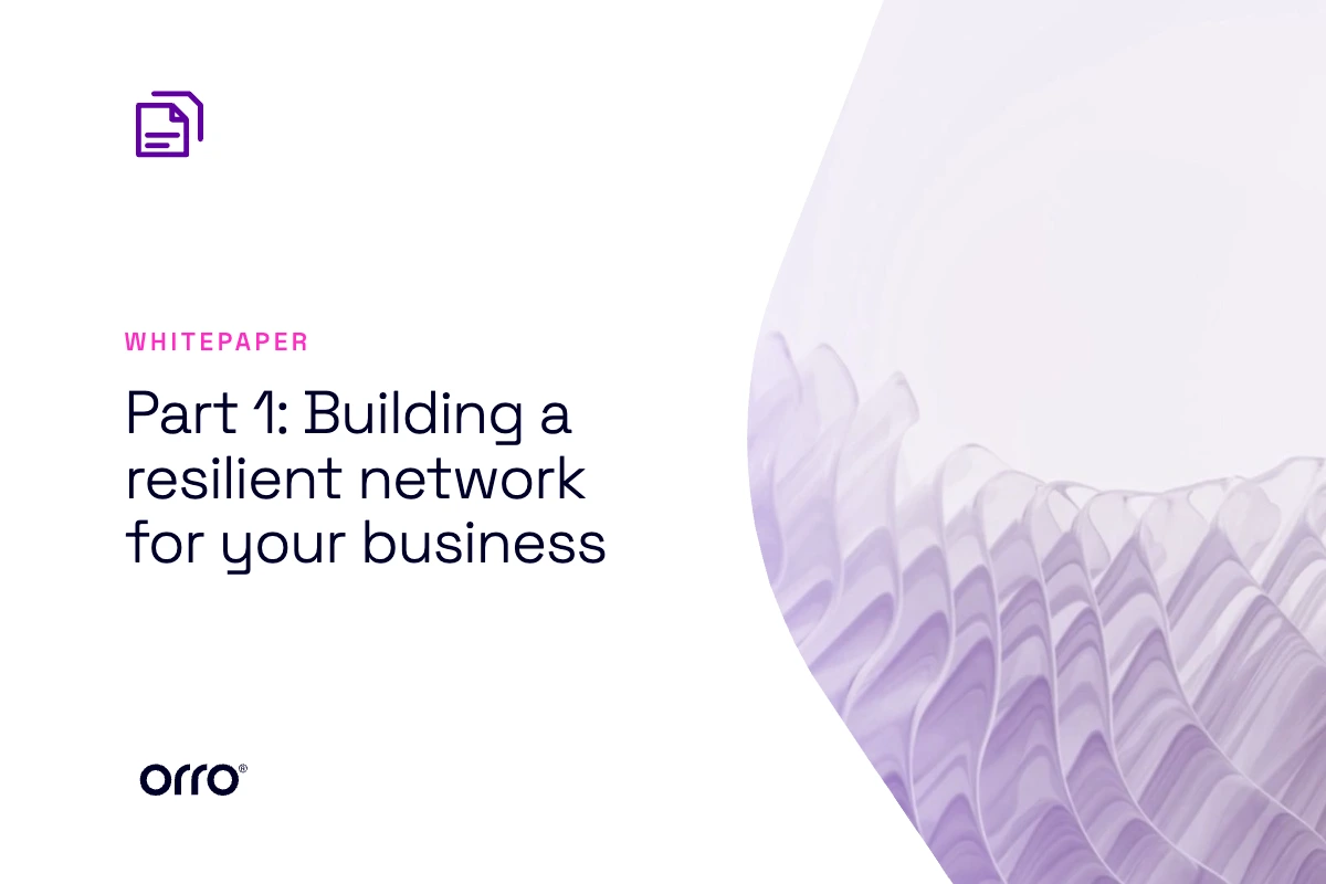 Part 1: Building a resilient network for your business thumbnail