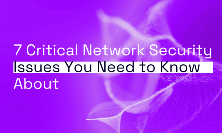 Network security issues